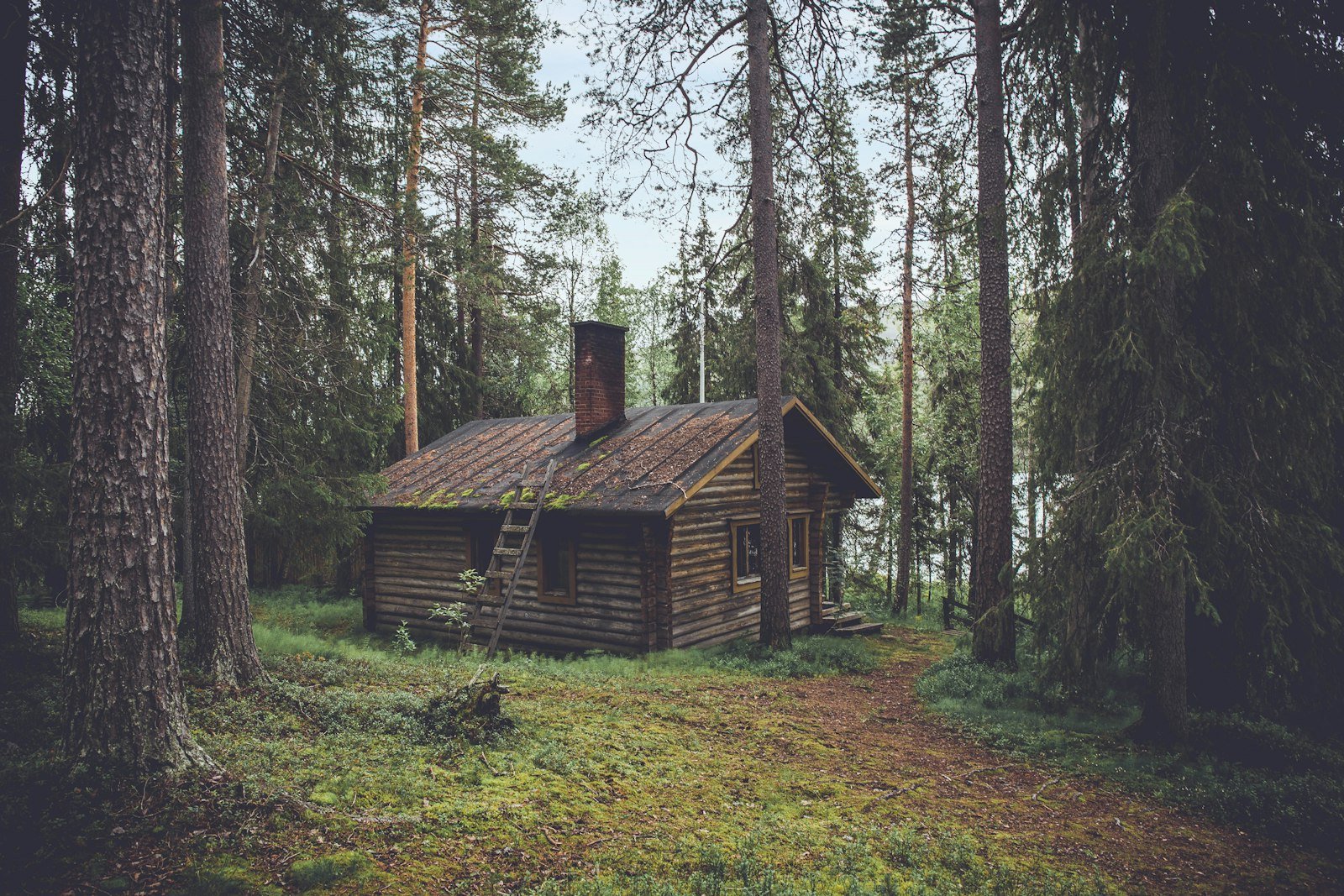 Ten Boutique Cabins and Lodges in Canada Worth the Drive (or the Floatplane)